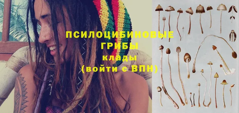 Галлюциногенные грибы Psilocybe  Энем 